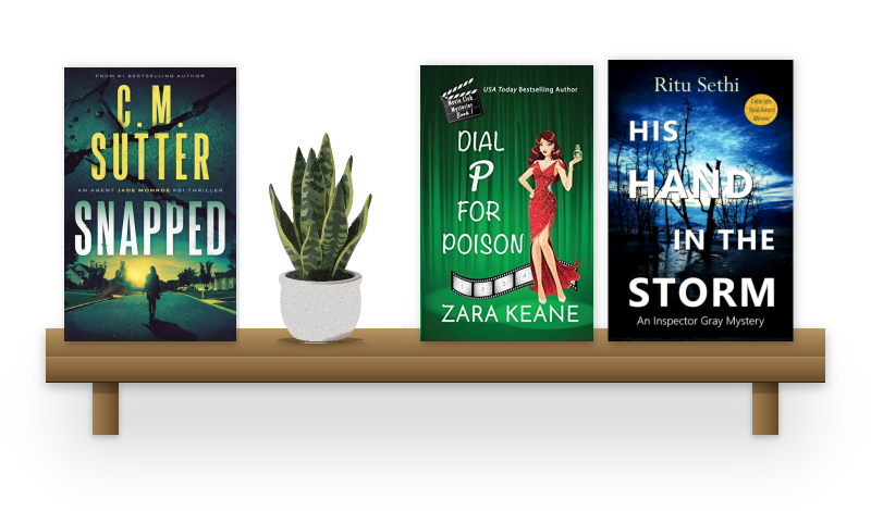 A shelf of mysteries with a snake plant